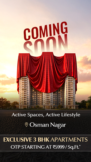 New Launch 